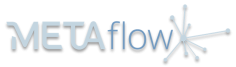 METAFORA_METAflow_Product-Logo_Sized